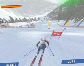 Ski Racing 2006: Обзор игры