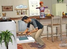 The Sims 2: Seasons: Обзор игры